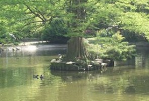 Parc de la Rhônelle de Valenciennes