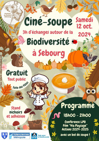 ciné-soupe-sebourg-agenda-valenciennes-tourisme.jpg