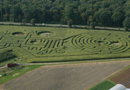 Labyrinthe Végétal Beauregard - Aubry-du-Hainaut