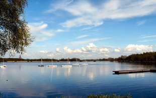 Lac Chabaud Latour - CONDE SUR L'ESCAUT - Condé-sur-l'Escaut