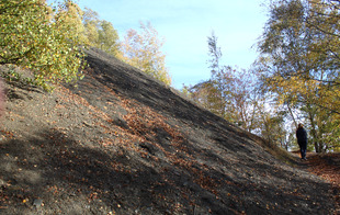 Terril de la Bleuse Borne - ANZIN - Anzin