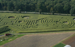 Labyrinthe Végétal Beauregard - Aubry-du-Hainaut