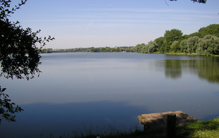 Site naturel d'Amaury - HERGNIES - Hergnies