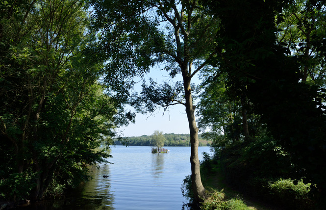 Lac Chabaud Latour - CONDE SUR L'ESCAUT 5 - Condé-sur-l'Escaut