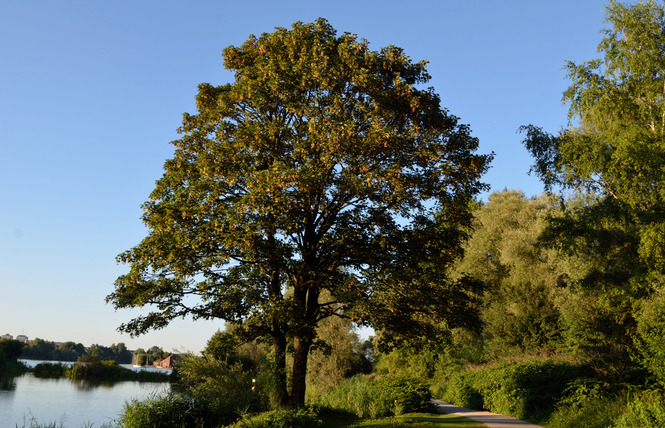 Le site du vignoble - VALENCIENNES 3 - Valenciennes