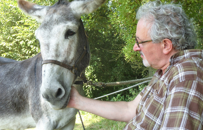 Les Anes des Grands Rignains 2 - Hergnies