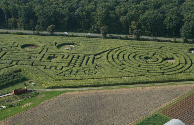 Labyrinthe Végétal Beauregard 1 - Aubry-du-Hainaut