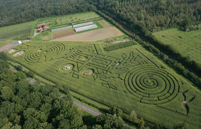 Labyrinthe Végétal Beauregard 2 - Aubry-du-Hainaut