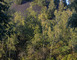 Lac Chabaud Latour - CONDE SUR L'ESCAUT 3 - Condé-sur-l'Escaut