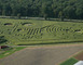 Labyrinthe Végétal Beauregard 1 - Aubry-du-Hainaut